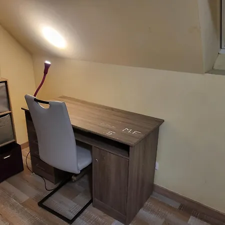 Maison Familiale Avec Jardin Proche & Zenith Semesterbostad *